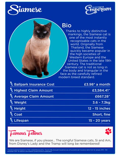 lv pet insurance online chat